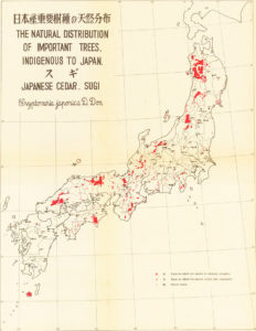 スギの分布