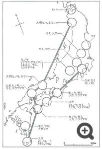 天然杉の移動